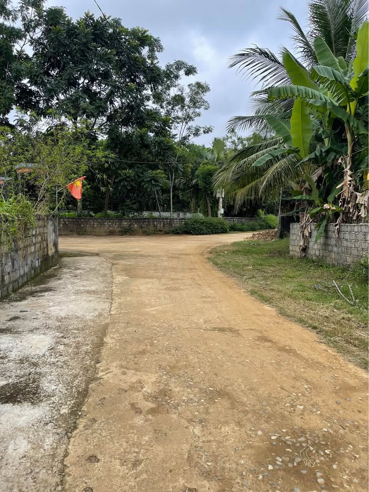 Đất thổ cư 400m² tại Thôn Thọ Phú, Xã Kiên Thọ, Huyện Ngọc Lặc - Cơ hội đầu tư tuyệt vời!