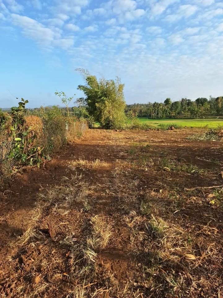 Đất nghỉ dưỡng Ea Tiêu Cư Kuin 1.700m² giá 1,9 tỷ - View ruộng thoáng mát!