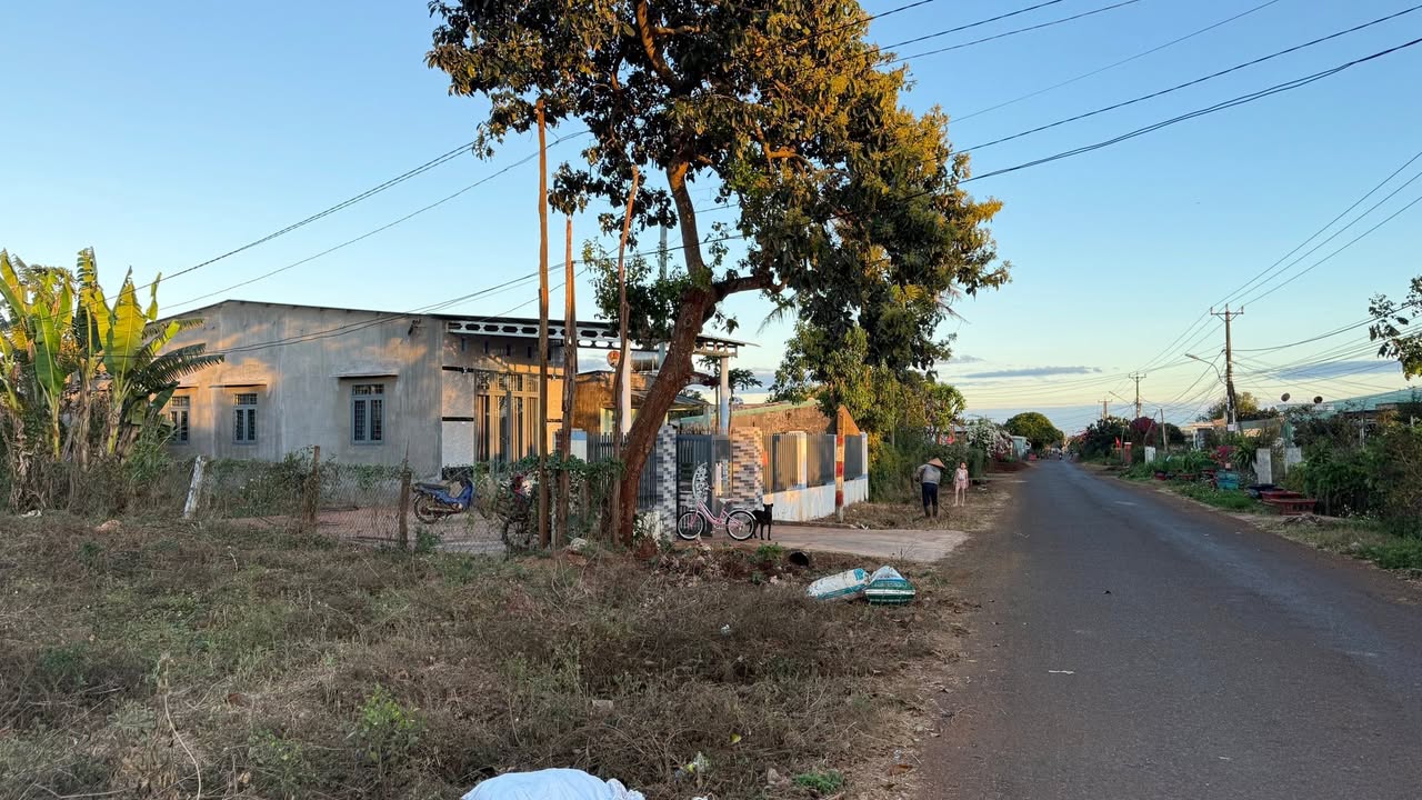 Lô đất mặt tiền đường Quang Trung nối dài 608m² giá 1.13 tỷ - Kinh doanh thuận lợi!