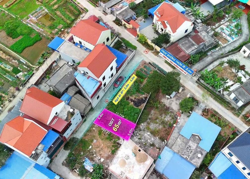 Đất nền Lưu Kiếm Hải Phòng 65m² giá 1.3 tỷ - Ô tô vào tận nơi!