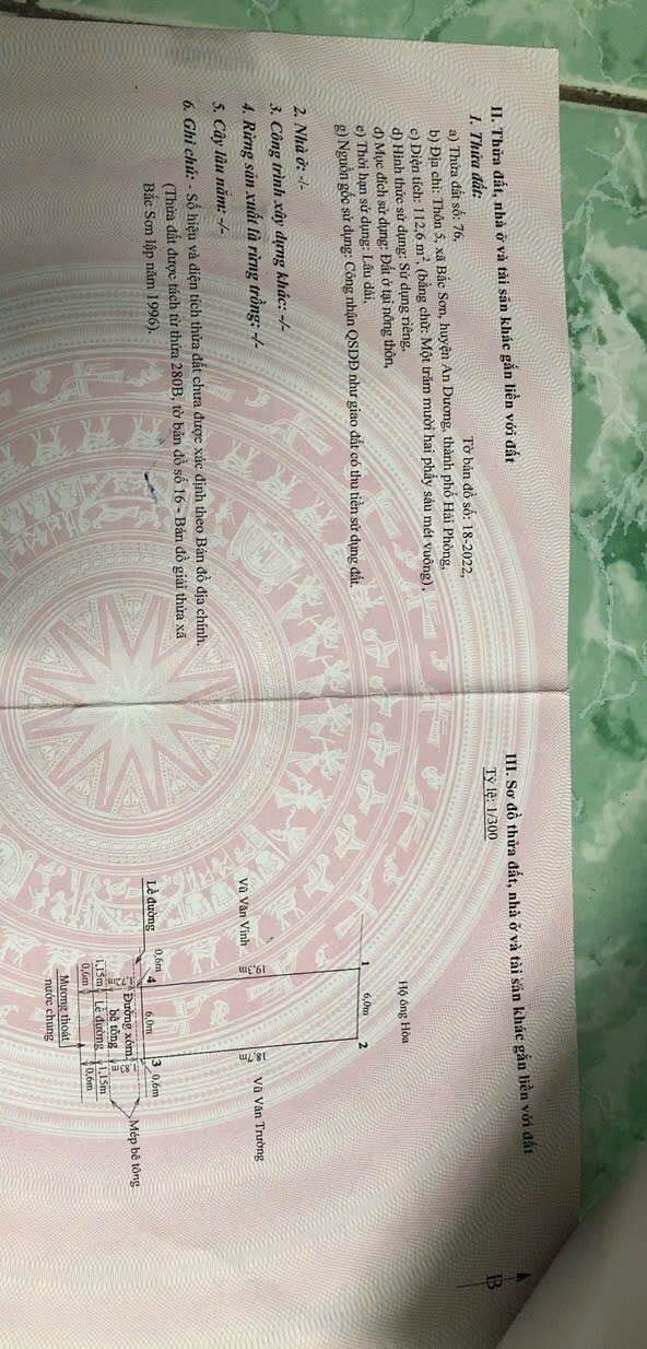 Đất nền Bắc Sơn Tiên Lãng 112,5m² giá 2,5 tỷ - Cơ hội đầu tư tuyệt vời!