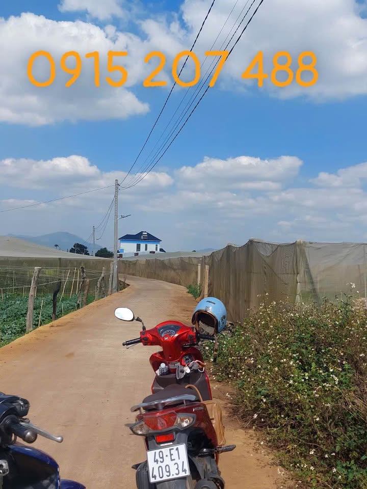 Đất thổ cư Tổ 32, Xã Phú Hội, Huyện Đức Trọng 72m² giá 800 triệu - Cơ hội đầu tư hấp dẫn!