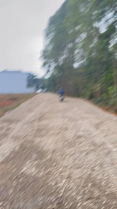 Đất nền tại Phượng Lâu, Việt Trì 120m² giá 2 tỷ - Tiềm năng phát triển lớn!