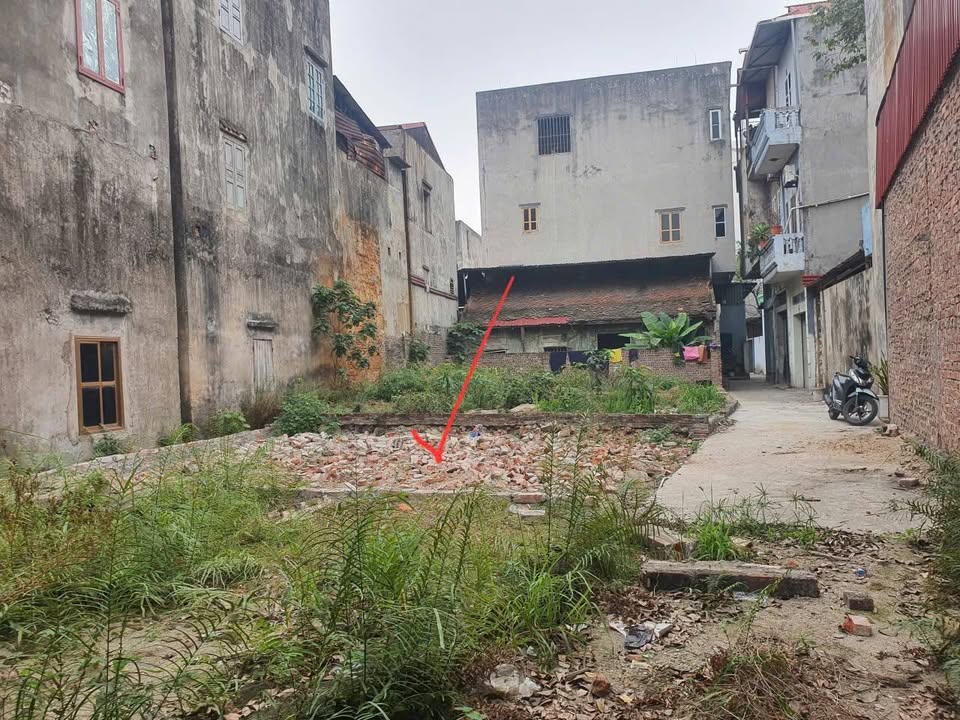 Đất nền Đồng Kỵ, Từ Sơn 50m² giá 1 tỷ - Đầu tư sinh lời cao!