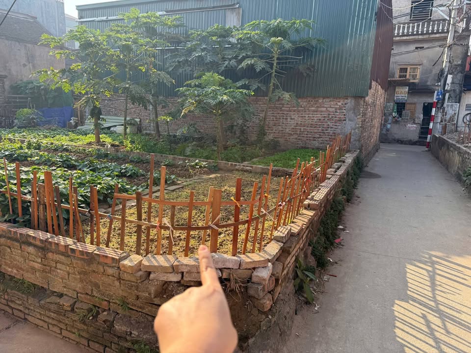 Đất nền lô góc Phường Phù Khê 45.5m² giá 1.55 tỷ - Sổ đỏ chính chủ giao ngay!