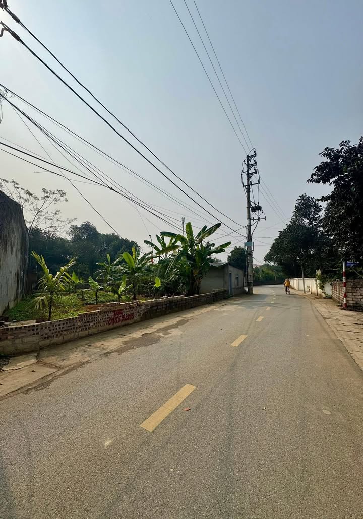 Đất nền 100m² tại Trại Hồ - Đoài Phương chỉ 2x tỷ - Đầu tư sinh lời