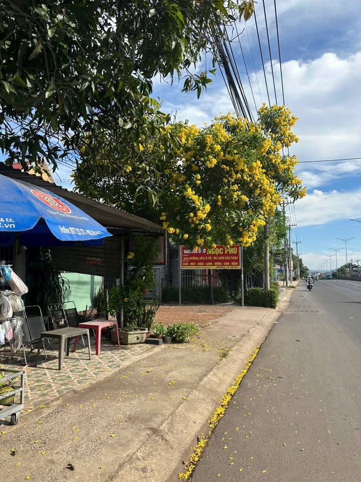 Bán gấp mặt tiền ĐT 741, khu phố Tiến Hưng 1, 100m² - Đầu tư sinh lời!