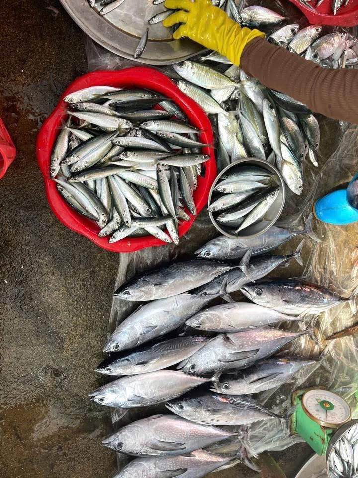 Lô đất biển Đức Lợi 190m² giá chỉ 300 triệu - Cơ hội vàng không thể bỏ lỡ!