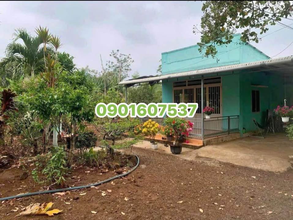 Nhà vườn tại xã Minh Hưng, Chơn Thành 1.000m² giá 180 triệu - Cơ hội đầu tư tuyệt vời!