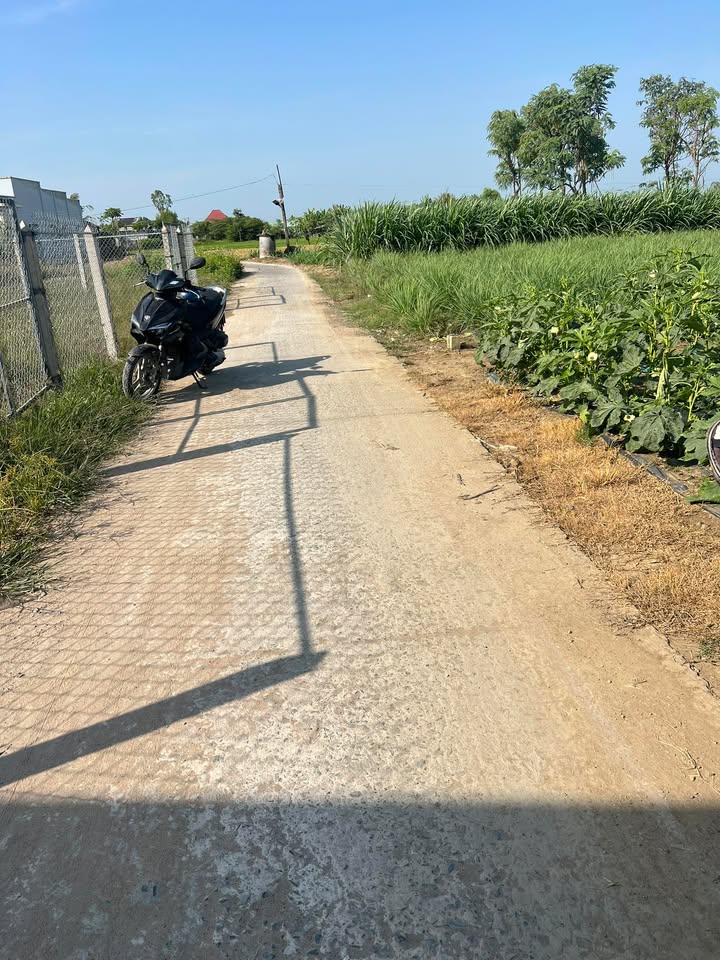 Đất nền đẹp hướng Đông tại Xã Tân Hòa, Đồng Tháp - Sổ hồng sẵn chỉ 299 triệu!