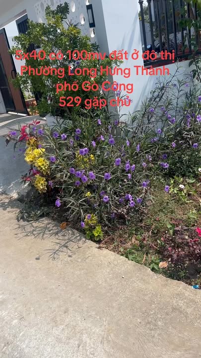 Đất nền Sơn Qui Đồng Tháp 200m² giá 529 triệu - Sổ đỏ chính chủ, thương lượng tốt!