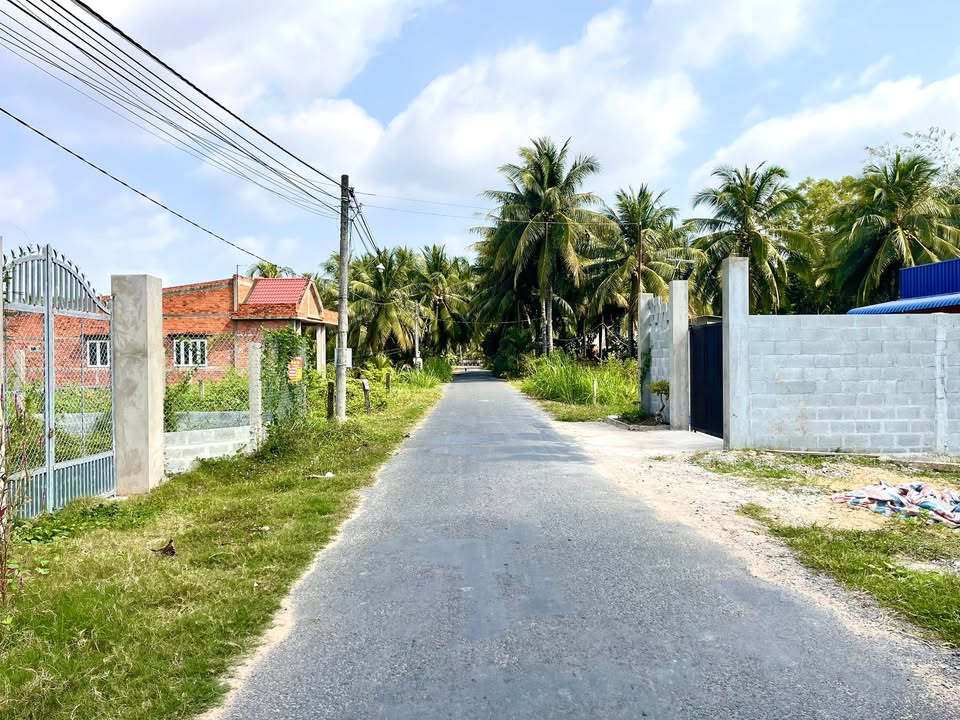 Đất nền mặt tiền đường nhựa 546m², xã Bình Ninh, giá 1.3 tỷ - Cơ hội đầu tư hấp dẫn!