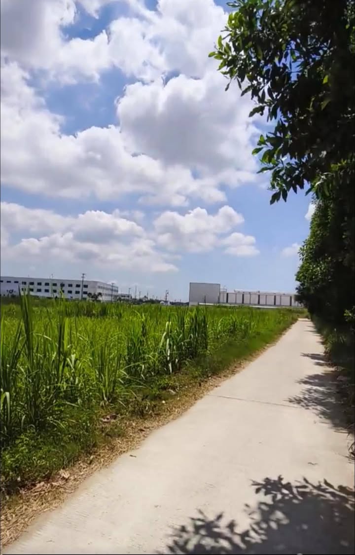 Đất nền Tịnh Thọ, Quảng Ngãi 600m² giá 1.2 tỷ - Cơ hội đầu tư hấp dẫn!