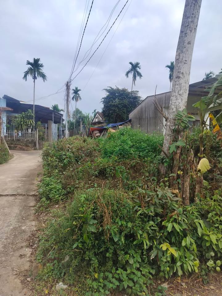 Đất nền Nghĩa Kỳ, Tư Nghĩa 200m² giá chỉ 800 triệu - Cơ hội đầu tư tuyệt vời!