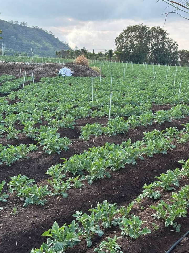 Đất nền đẹp tại xã Phú Hội, huyện Đức Trọng, Lâm Đồng - 2.000m² giá 1.8 tỷ - Thương lượng nhanh chóng!