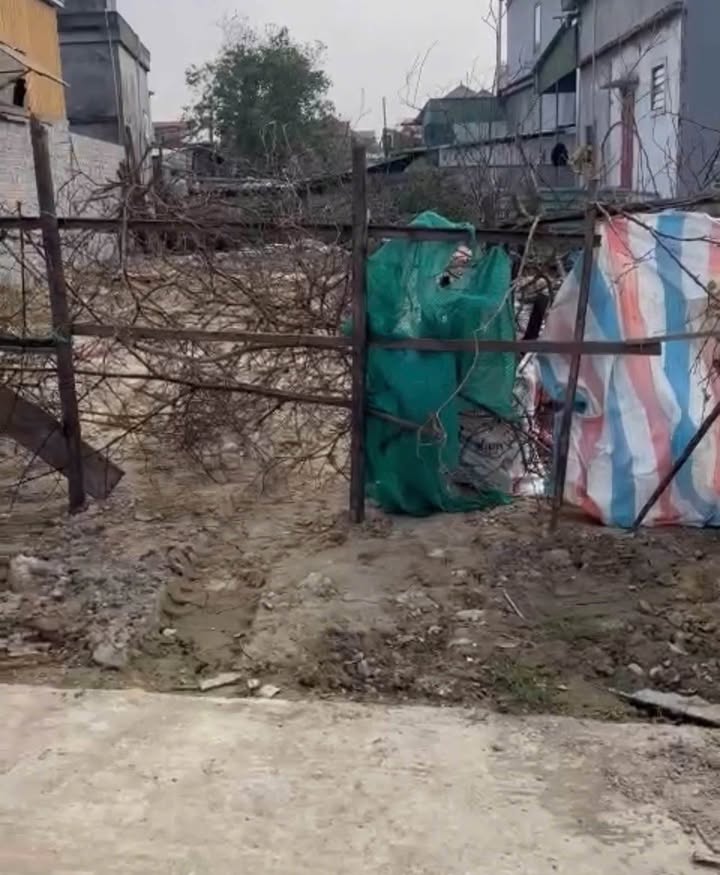 Đất nền Xóm Hưng Đạo 7, Xã Hưng Nguyên 120m² giá 6.2 tỷ - Đầu tư sinh lời ngay!