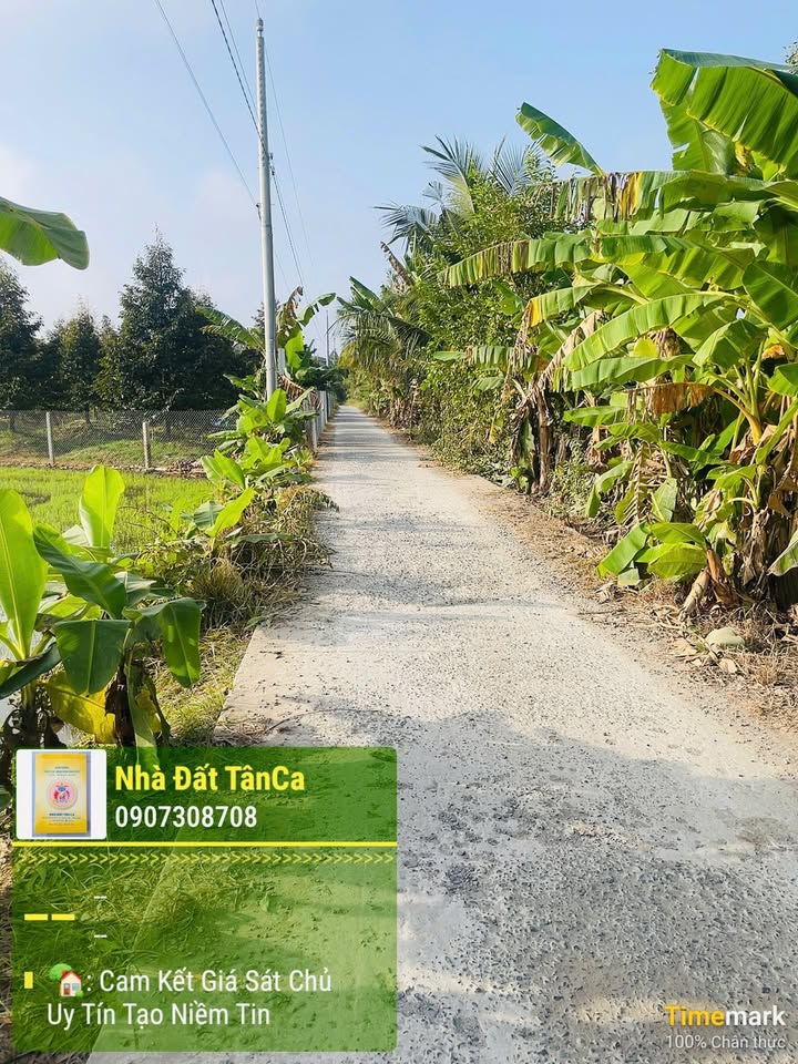 Farm đất vườn Tân Mỹ 6.150m² giá 2,5 tỷ - Mặt tiền tuyệt đẹp!