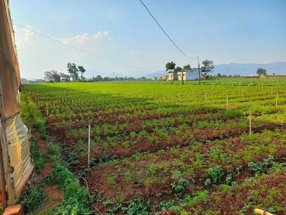 Đất nền xã Ka Đơn, huyện Đơn Dương, 1944m² giá 1.89 tỷ - Đầu tư sinh lời hấp dẫn!