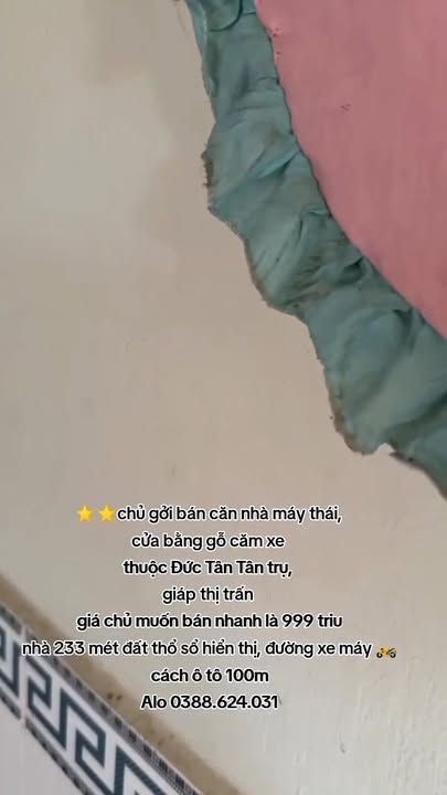 Nhà riêng Đức Tân, Tân Trụ 233m² giá 999 triệu - Chính chủ bán gấp!