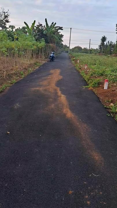 Đất nền Suối Nghệ, Châu Đức 1360m² - Sổ đỏ chính chủ, giá thỏa thuận!