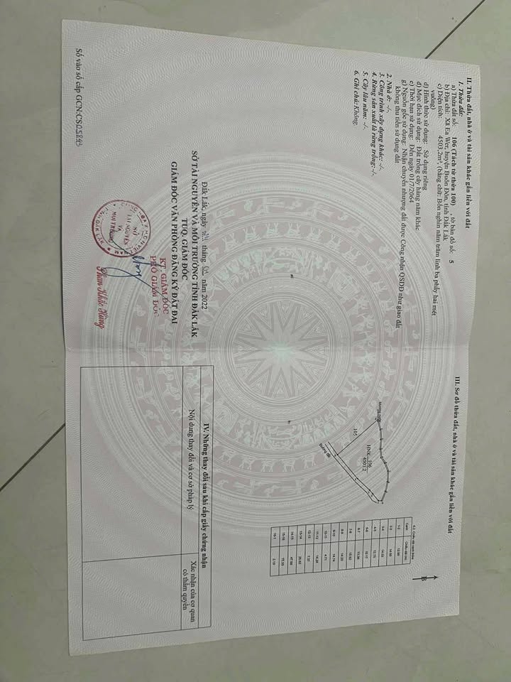 Đất nền 9300m² tại Ea Wer, Buôn Đôn giá chỉ 500 triệu - Cơ hội đầu tư tuyệt vời!