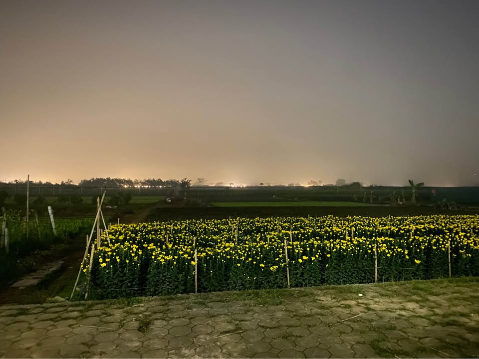 Đất Tái Định Cư Tây Tựu 80m² giá 22 tỷ - Tiềm năng tăng giá mạnh!