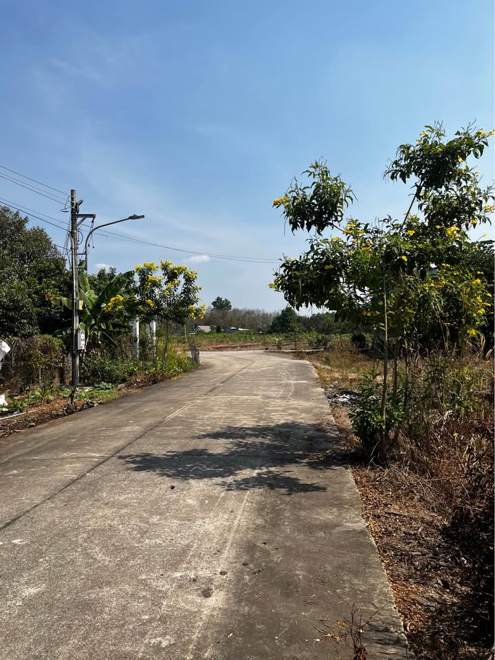 Đất nền Phước Sang, Huyện Phú Giáo, 335m² giá 550 triệu - Đường bê tông rộng rãi, dân cư đông đúc!