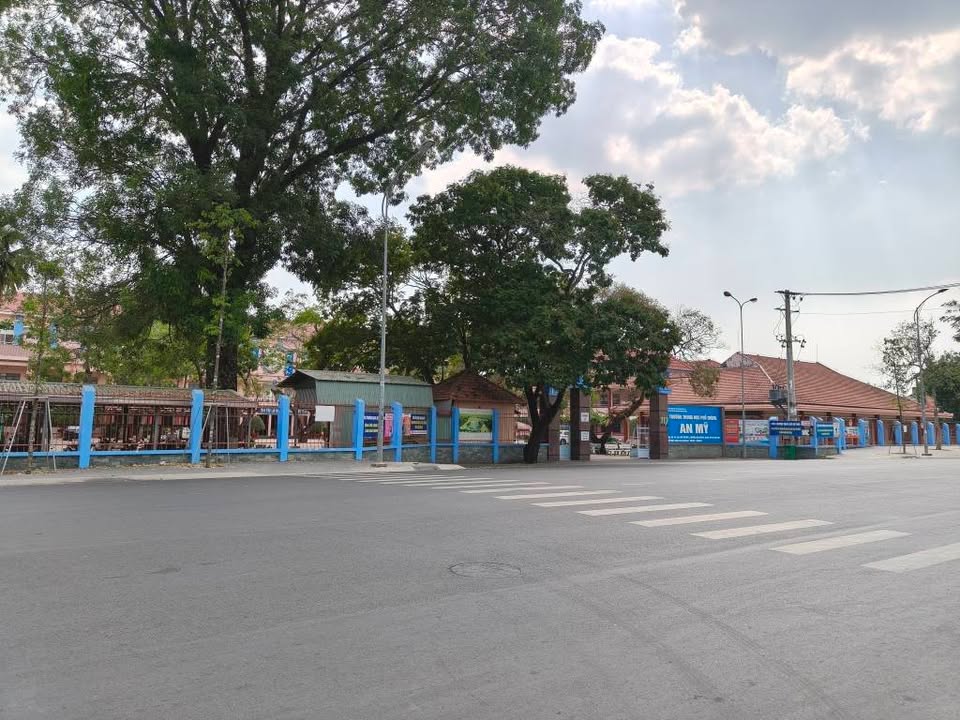 Đất mặt tiền đường nhựa 6m Phú Mỹ Thủ Dầu Một 120m² - Vị trí đắc địa cho đầu tư!