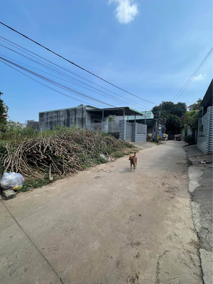 Đất nền Tây Hoà, Trảng Bom 100m² giá 900 triệu - Sổ đỏ chính chủ, vị trí đẹp!