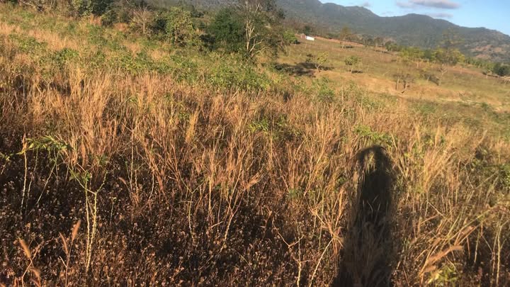 Đất thổ cư làng Toak Kon Chiêng, 900m² giá 170 triệu - Sổ đỏ chính chủ!