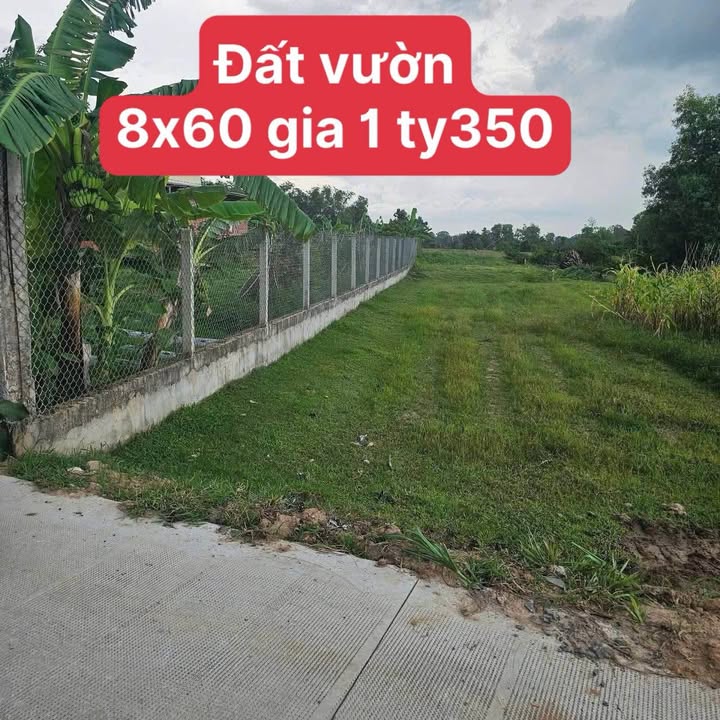 Đất vườn An Ninh Đông 480m² giá 1.35 tỷ - Mặt tiền đường bê tông