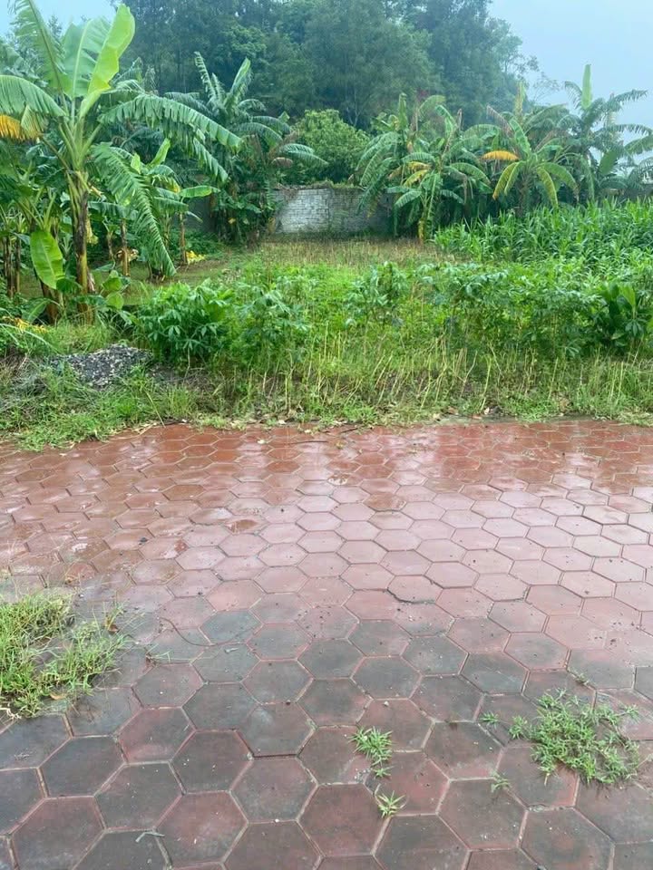 Đất nền mặt đường Quốc lộ 12B, Nho Quan, 192m² - Cơ hội đầu tư lý tưởng!