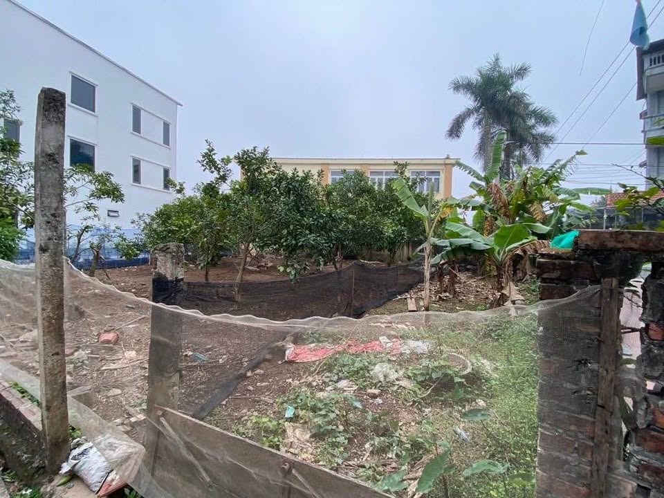 Đất nền Phường Liên Mạc 50m² giá 5 tỷ - Lô góc 3 mặt thoáng, ô tô vào tận đất!