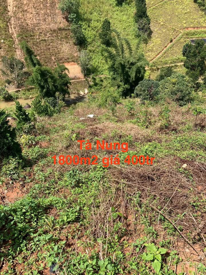 Đất nền Tà Nung, Đà Lạt 1800m² giá 400 triệu - Cần bán gấp trước Tết!
