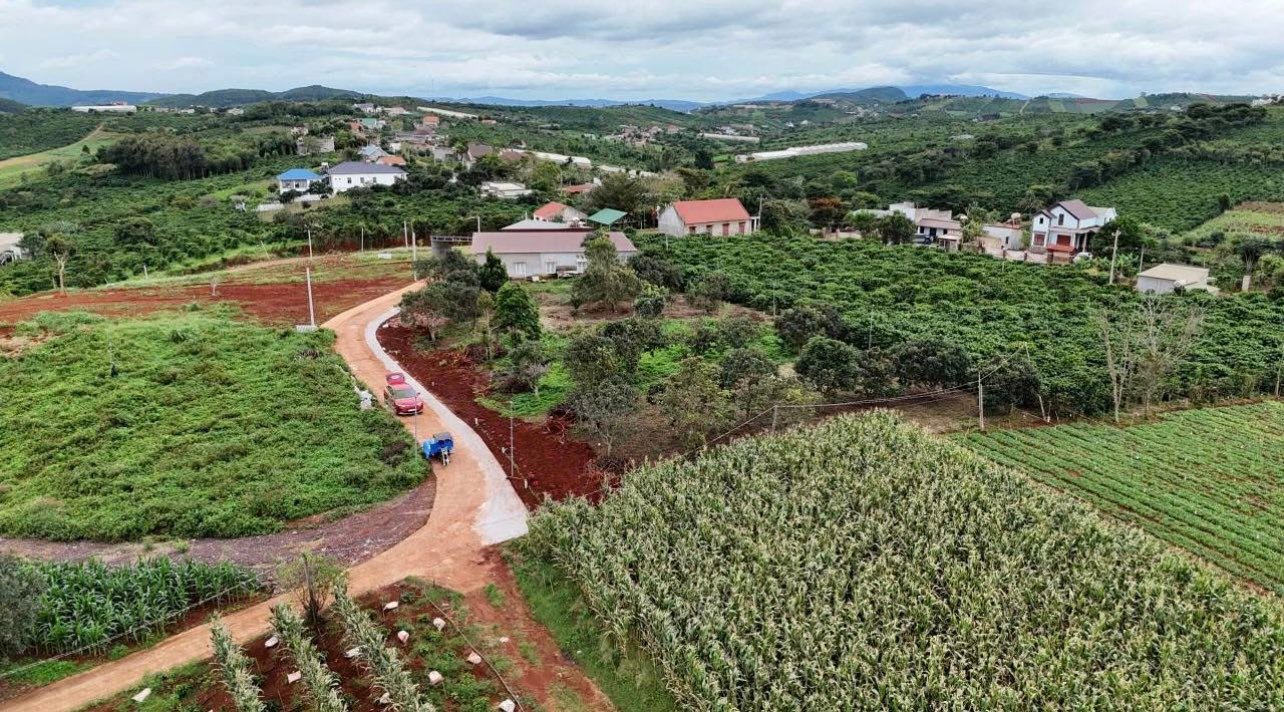 Đất nền Thị trấn Nam Ban 225m² giá 1.4 tỷ - Vị trí siêu đẹp, cơ hội đầu tư hiếm có!