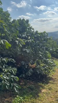 Đất nền xã Đà Loan, huyện Đức Trọng, 27.000m² giá 3 tỷ - Sổ đỏ chính chủ