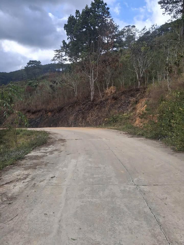 Đất Farm tại Nông Trại Cún P7, quận Bình Thạnh 360m² giá 2 tỷ - Đầu tư sinh lời ngay!