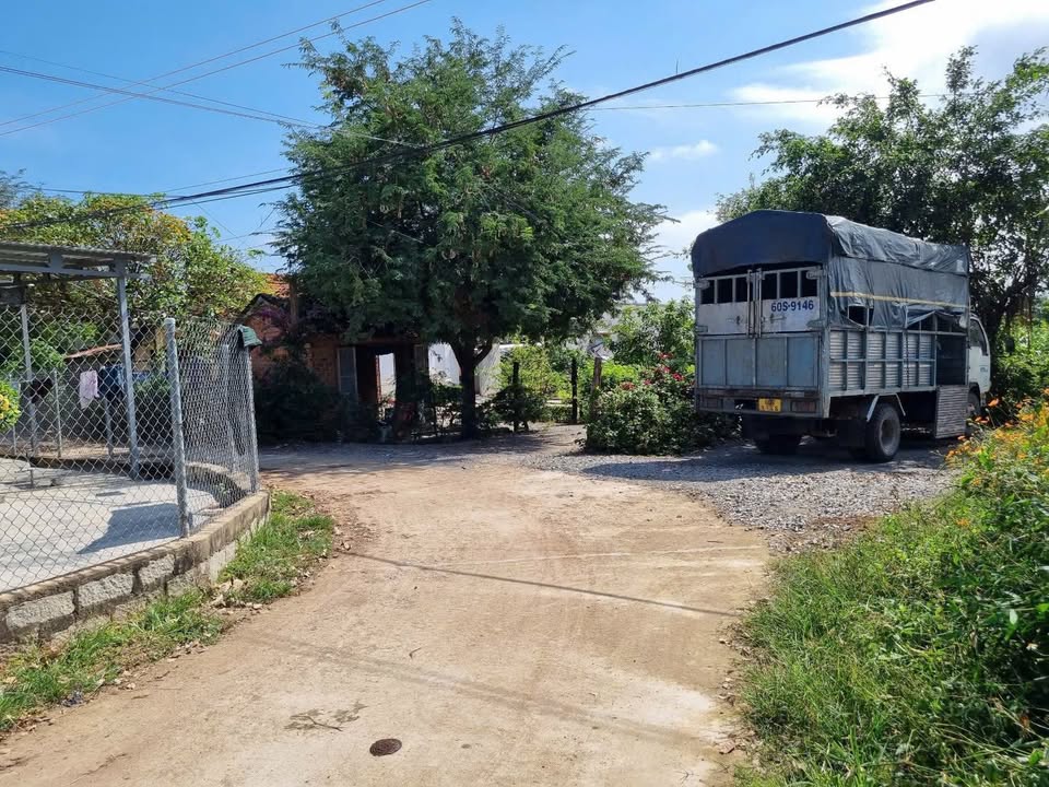 Đất nền Ninh An, Ninh Hòa 179m² giá chỉ 3xx triệu - Sổ hồng chính chủ!