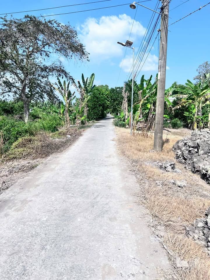 Đất nền xã Tân Lập, Huyện Tân Thạnh, 1200m² giá 490 triệu - Cơ hội đầu tư tuyệt vời!