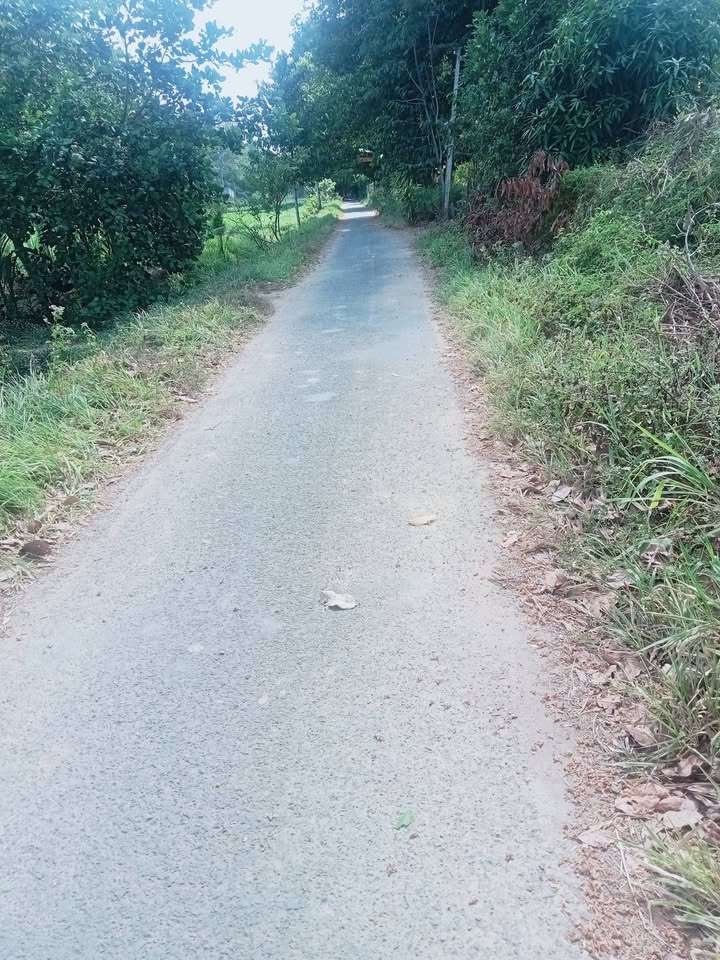 Đất mặt tiền ấp Giồng Thành, Nhị Trường, 480m² giá tốt - Thương lượng ngay!