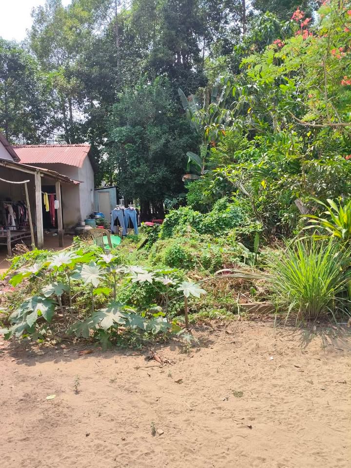 Đất nền mặt tiền đường nhánh Khóm 2, Phường 9, TP Trà Vinh - Giá chỉ 380 triệu!