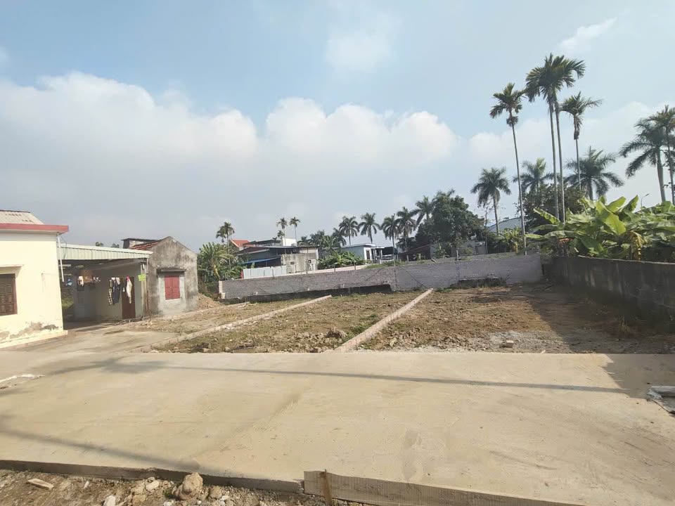 Đất nền tại Phường Hoa Động, Thủy Nguyên, Hải Phòng 60m² giá chỉ 950 triệu - Cơ hội đầu tư không thể bỏ lỡ!