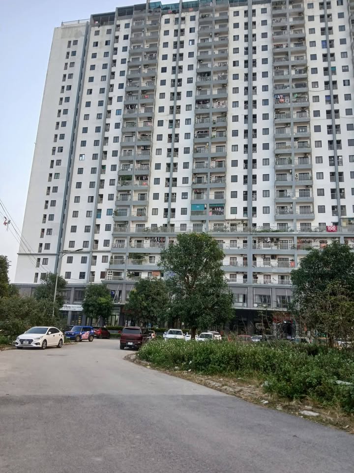 Lô đất đẹp tại Phường Hàm Rồng, Thành phố Thanh Hóa, 80m² giá chỉ 2.4 tỷ - Cơ hội đầu tư vàng!