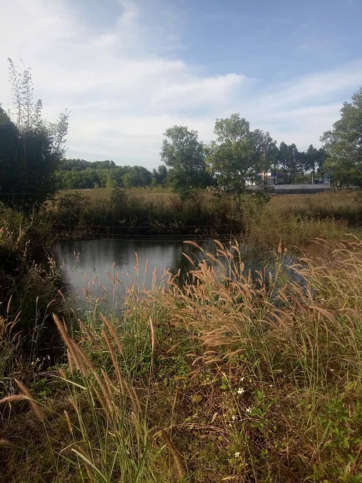 Đất nền thôn 13 Tân Hòa Buôn Đôn 957m² giá 173.22 tỷ - Cơ hội đầu tư hấp dẫn!