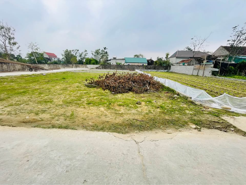 Đất nền Nghi Trung, 100m² - Phong thủy tốt, giá thỏa thuận!