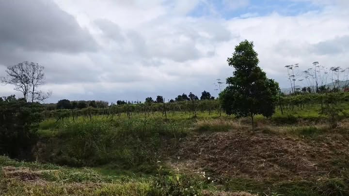 Đất nền 1476m² tại Thôn 6c, Xã Ea Kly giá 700 triệu - Tiềm năng phát triển cao!