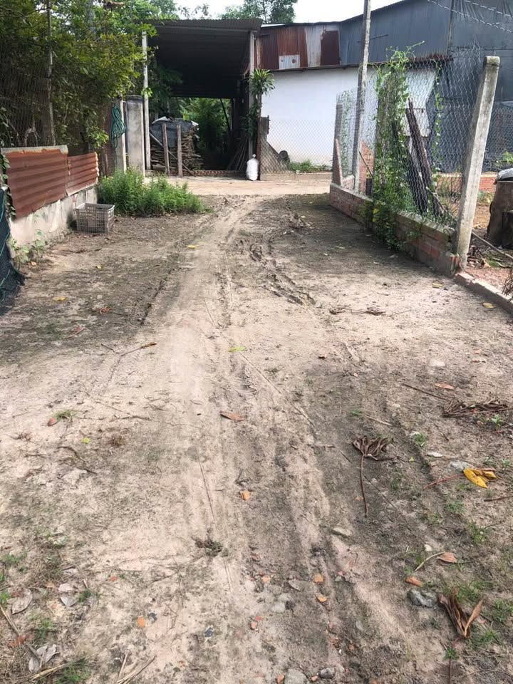 Đất thổ cư 1005m² tại xã Thái Bình, Châu Thành, Tây Ninh - Giá 1.497 tỷ - Cơ hội đầu tư lý tưởng!