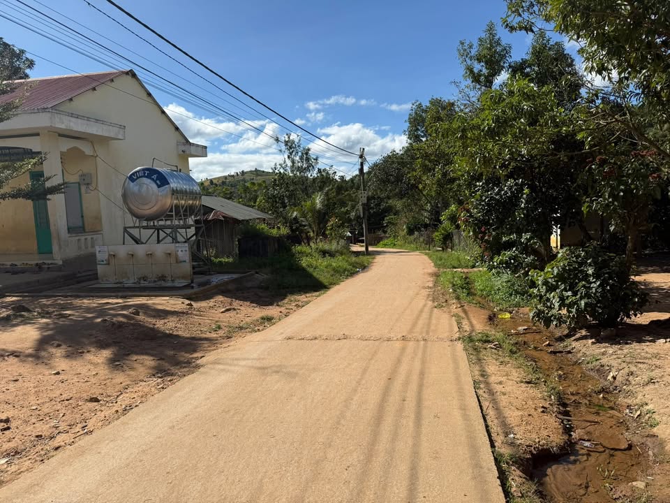 Lô đất rẫy 30000m² Đắk Ring giá thỏa thuận - Đầu tư sinh lời ngay!