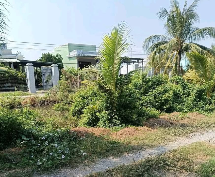 Đất nền 1.200m² xã Kiểng Phước, Gò Công Đông, giá chỉ 750 triệu - Cơ hội đầu tư tuyệt vời!