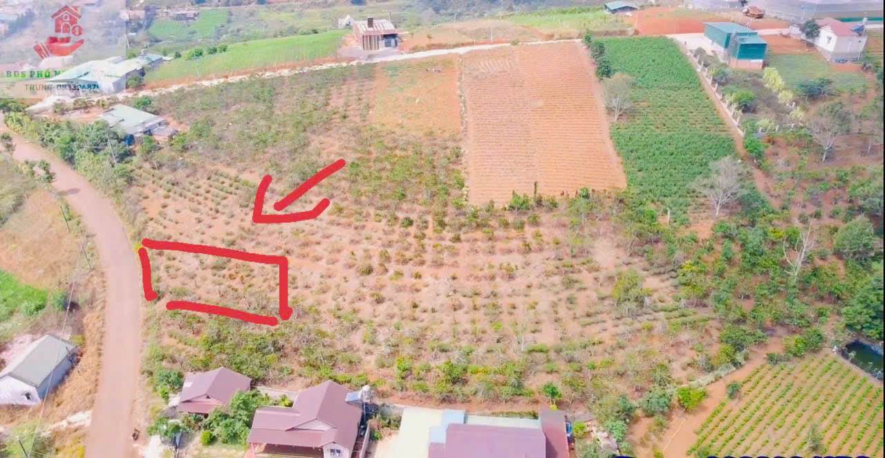 Đất nền mặt tiền Tản Đà, Bảo Lộc 360m² giá 2.35 tỷ - Đầu tư sinh lời